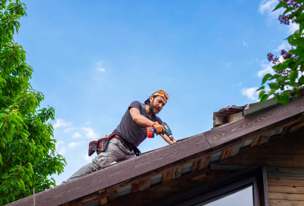 Best Skylight Installation and Repair  in Buford, GA